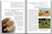 QUESTÃO SOCIOAMBIENTAL